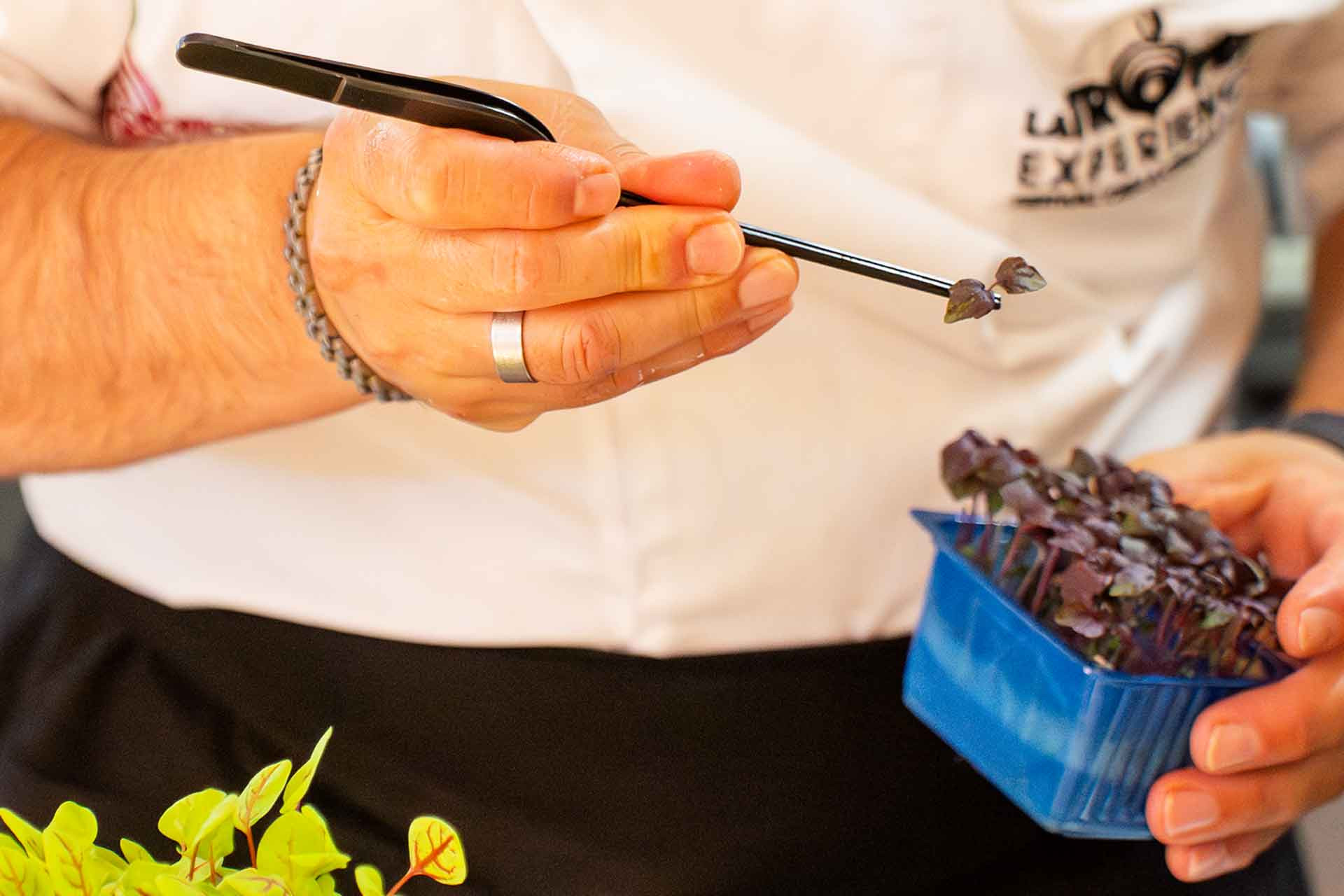 media.ristorante_6 1