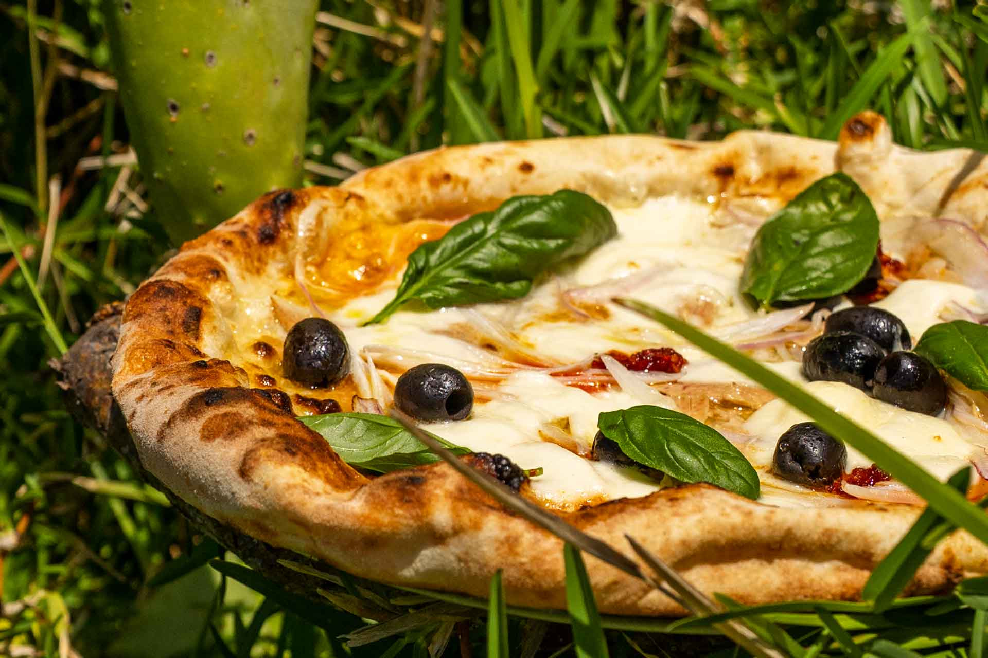 media.ristorante_16