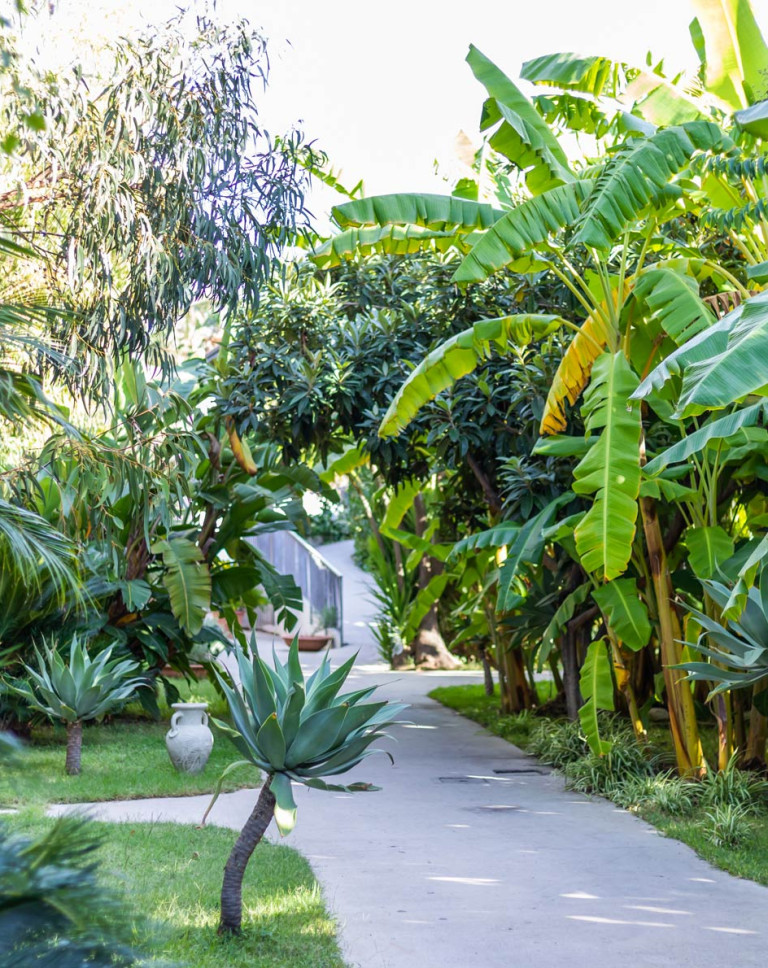 media.Slide_Esterno_1Tonicello_Resort_Spa_Capo_Vaticano